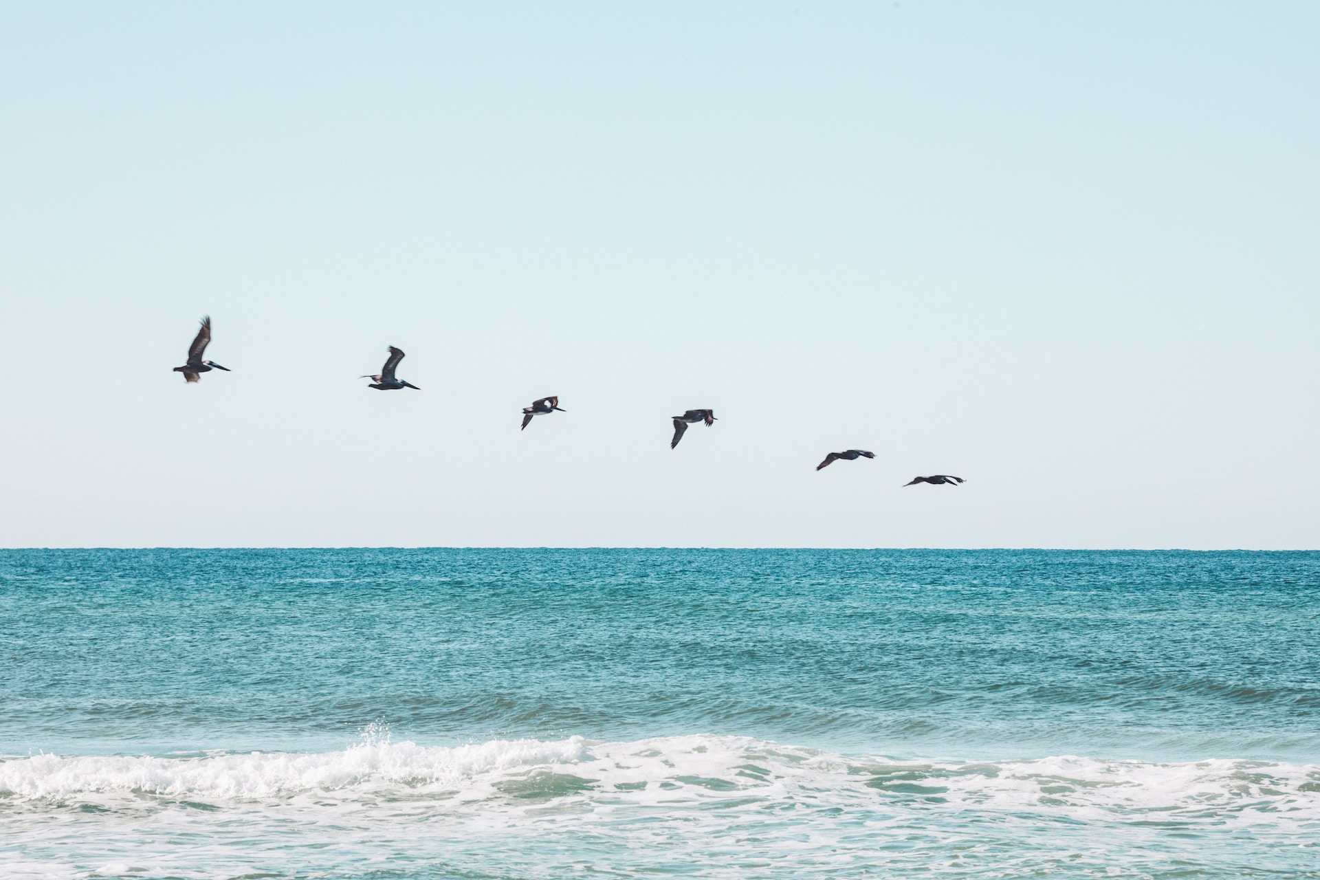 birds flying over the sea during daytime in Destin Beach