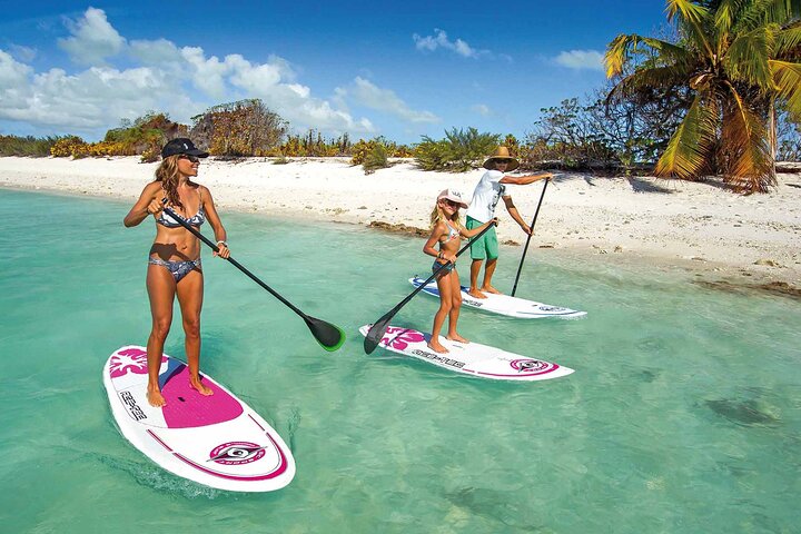 If you're already a paddling pro, you might want to skip the guided kayak/SUP tours and rent a paddle board of your own.