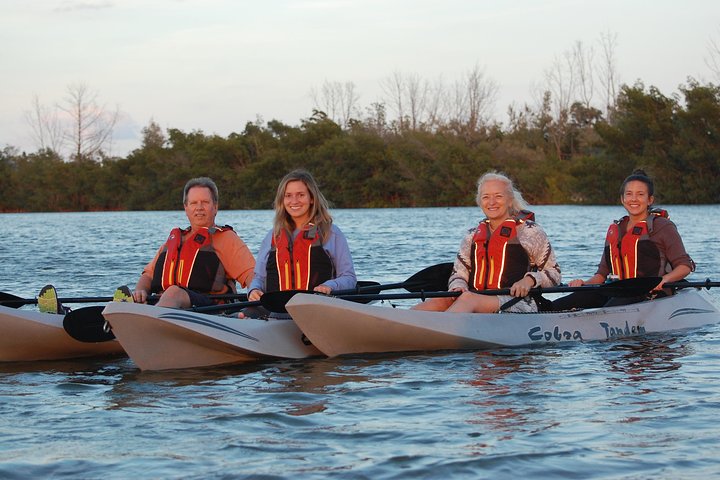 Sunsets, manatees, and dolphins await on this Mangrove Tunnels, Manatee, and Dolphin Sunset Kayak Tour with Fin Expeditions.