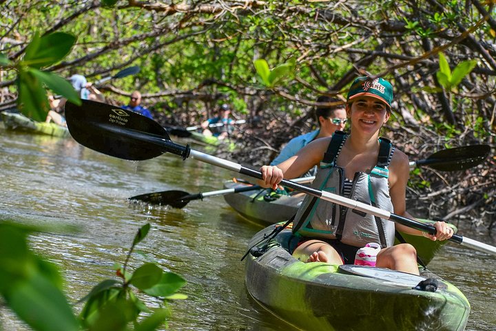 Kick off the tour by heading to Marco Island. Here, you'll explore the mangrove tunnels, keeping an eye out for the unique wildlife in this region.