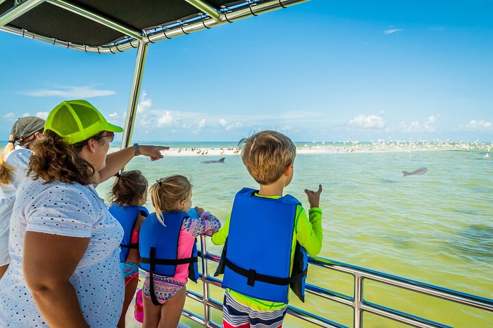 This two-hour boat tour from Marco Island is the perfect way to search for dolphins in the waters of the Ten Thousand Islands. 