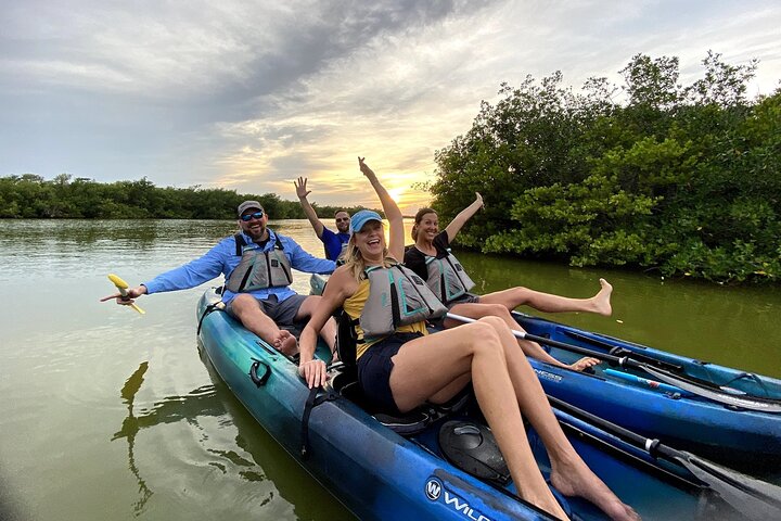 Nothing beats paddling through tranquil waters and the lush greenery of a mangrove tunnel. Keep an eye out for Bottlenose Dolphins, West Indian Manatees, and endemic birds.