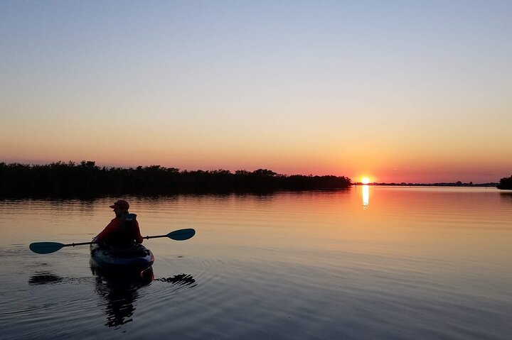 Explore the watery world of the Thousand Islands, Cocoa Beach on this incredible Mangrove Tunnel & Bioluminescence Sunset Tour. 