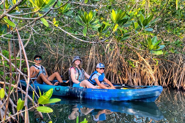 Get up close and personal with the spectacular natural world surrounding Cocoa Beach on this Thousand Islands Mangrove Tunnel Kayak Tour.