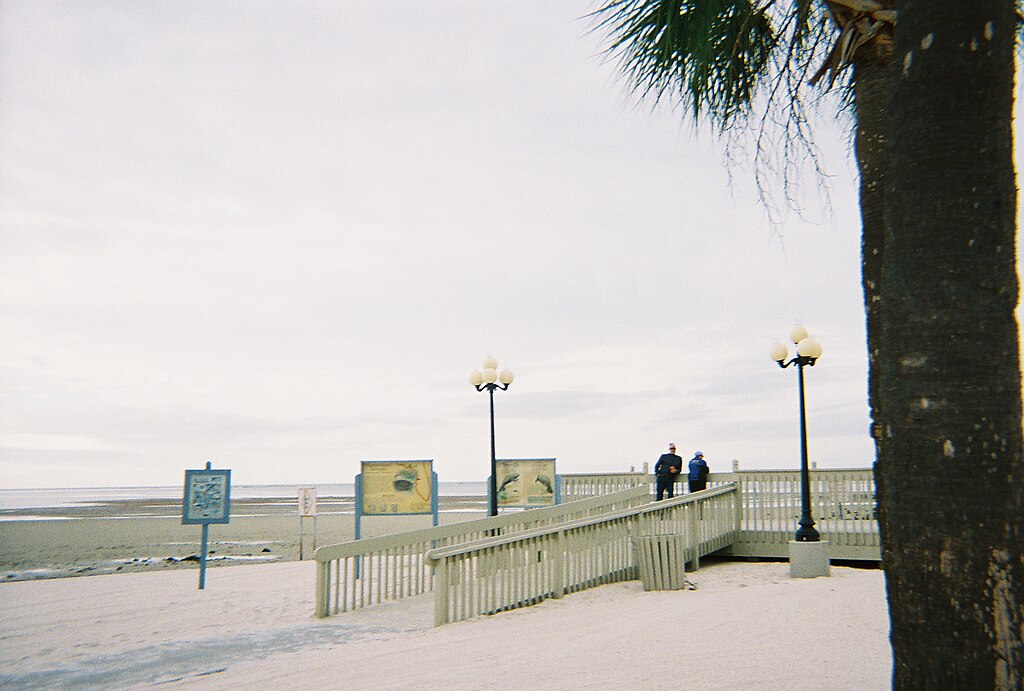 A ramp to the boardwalk at the Alfred A. McKethan Pine Island Park, in Pine Island, Hernando County, Florida.