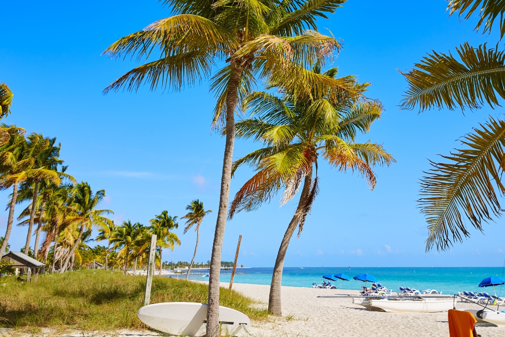 Palm trees and beach scene in Smathers Beach Key West Florida
