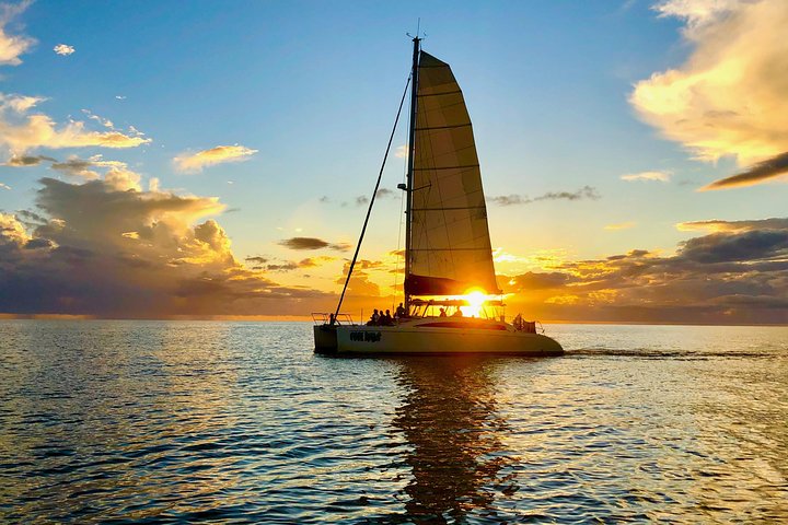 This limited motoring sail will take you to multiple spots along the Gulf of Mexico, allowing for an opportunity to swim or snorkel in the Gulf's pristine waters