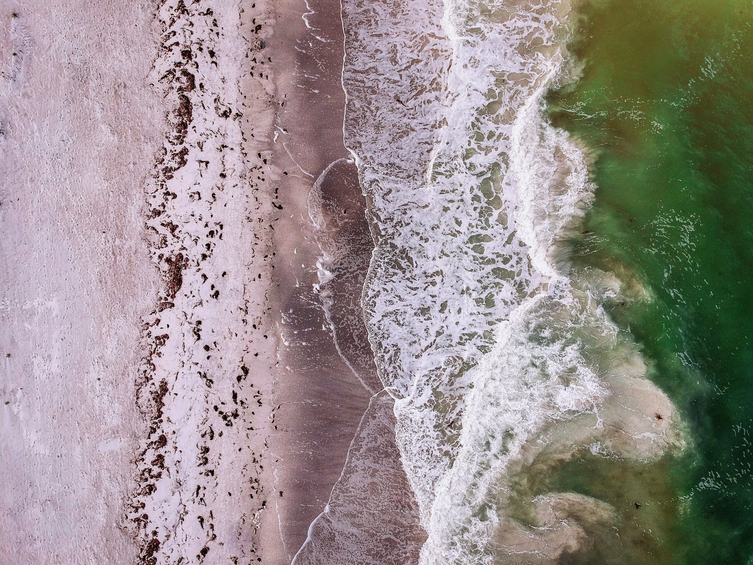 Aerial view of the green waters of Belleair Beach in Florida