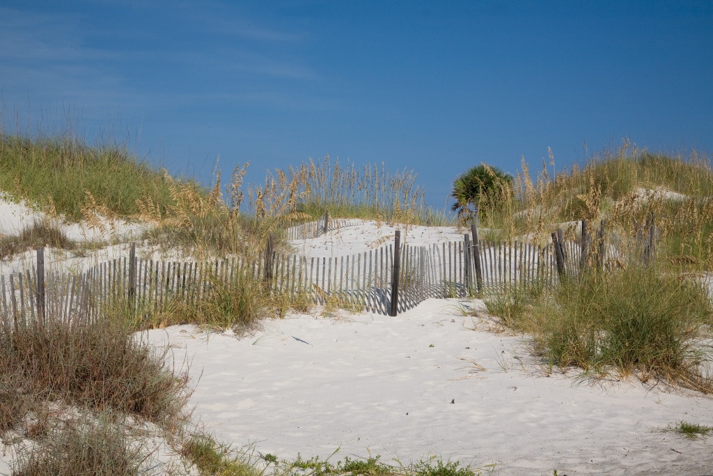 beautiful sand dunes located at the beach in Cape San Blas Florida