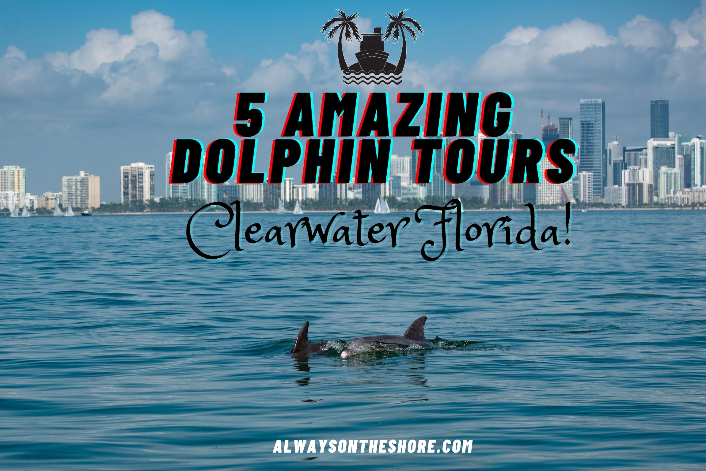 photo of a dolphin's back with the scenic background of buildings in Miami Florida with caption 5 Amazing Dolphin Tours Clearwater Florida