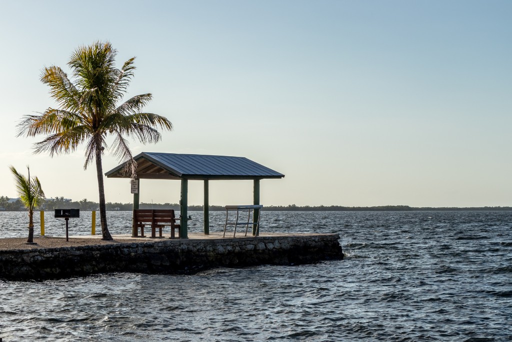 a palm tree and a gazebo in a pier at Key Largo FL, USA