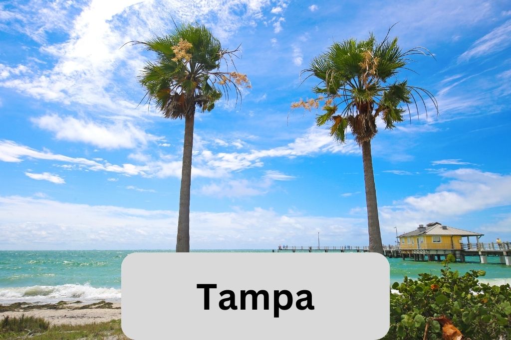 Tampa 