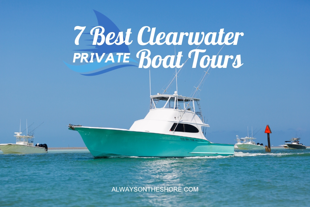 private boat tours in Florida that you should try