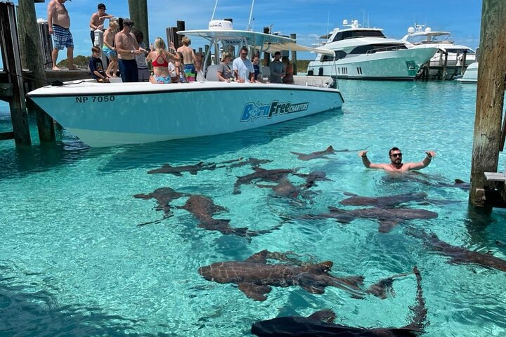 group of tourists in a Born Free Charter boat and a man in the waters with the sharks in Exuma Bahamas