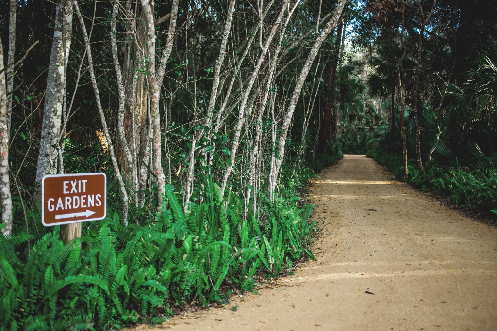 a wide pathway with plants and trees at Washington Oaks Gardens State Park