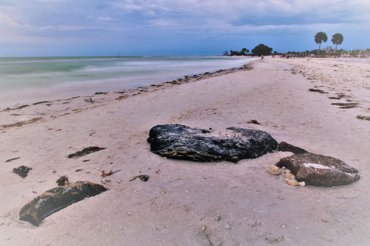 If you're looking for a secluded beach spot, Honeymoon Island State Park is a great place to visit 