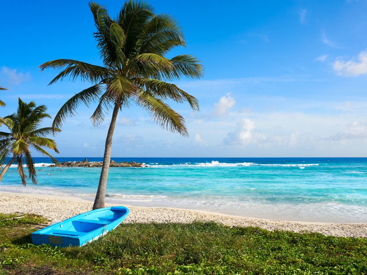 clear blue waters and a boat in the shore beside a coconut tree in Cozumel Bahamas