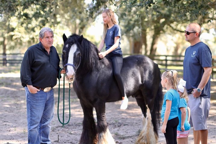 a girl riding a horse and 2 guys with 1 girl on a Gypsy Gold Horse Farm Tour in Ocala Florida