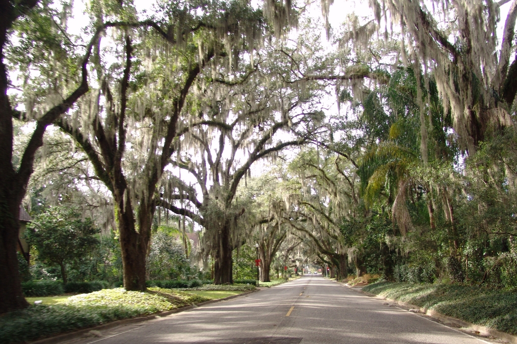 road going to Ocala florida