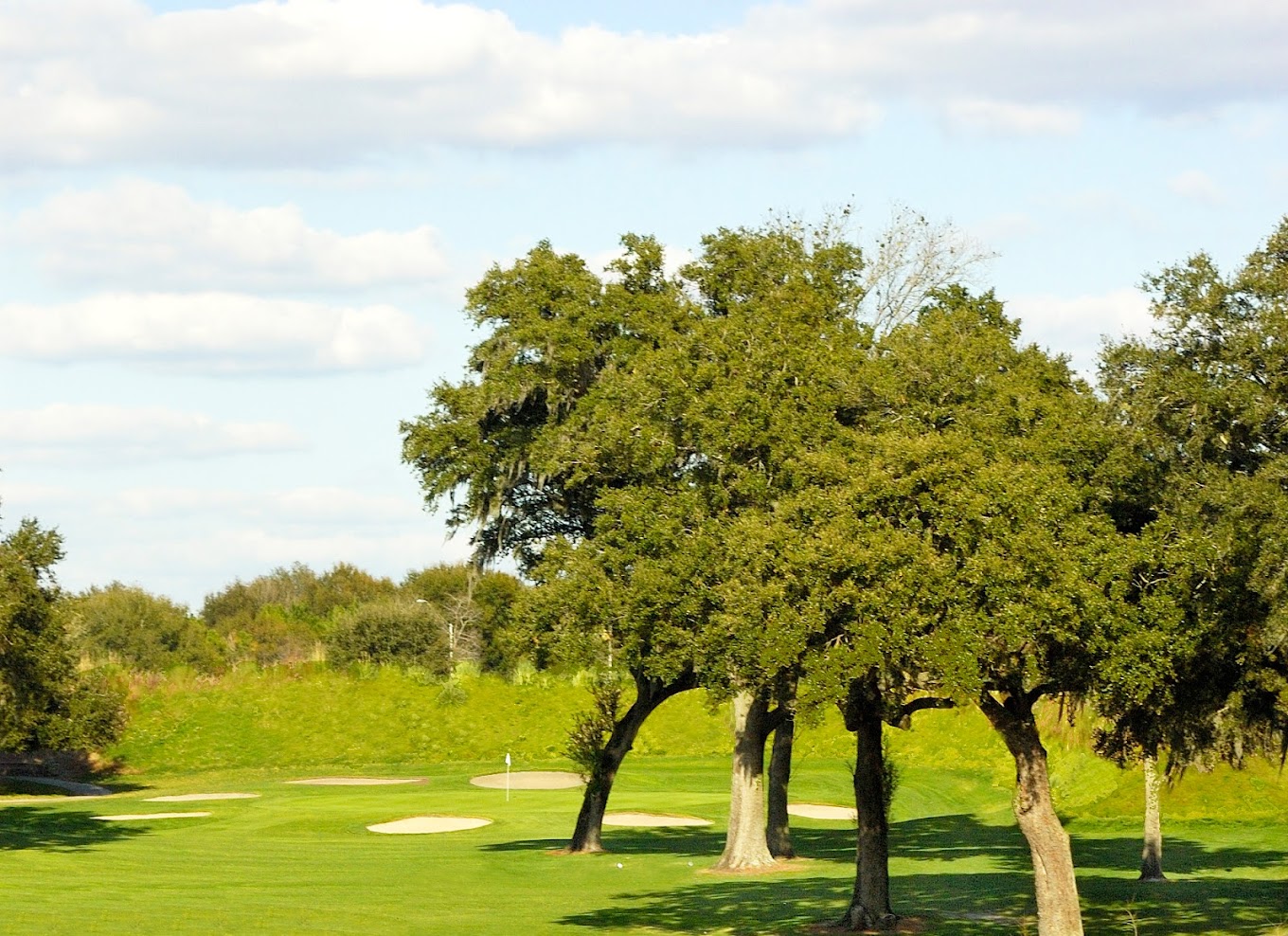 green golf course with green trees in SummerGlen Florida