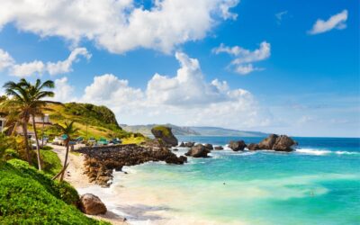 The 9 Best Beaches In Barbados: A Local Guide