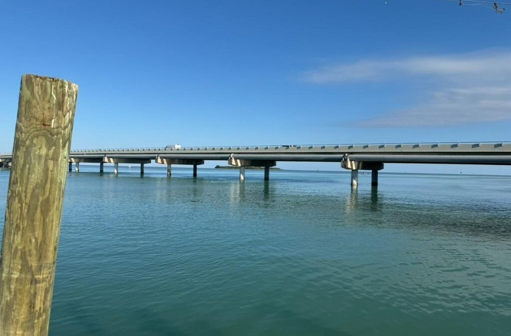 Enjoying the views at Robbie's Marina in Islamorada Florida