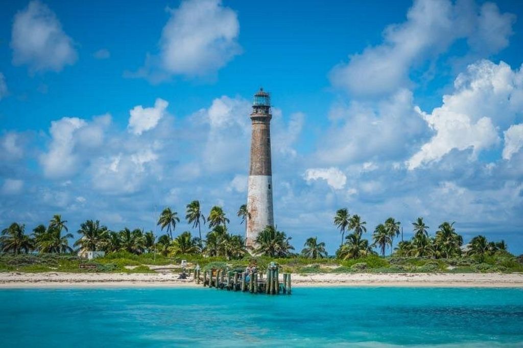 Islamorada Alligator Reef and Sandbar Tour If you're looking for an adventure on the water in Islamorada, check out the Alligator Reef and Sandbar Tour