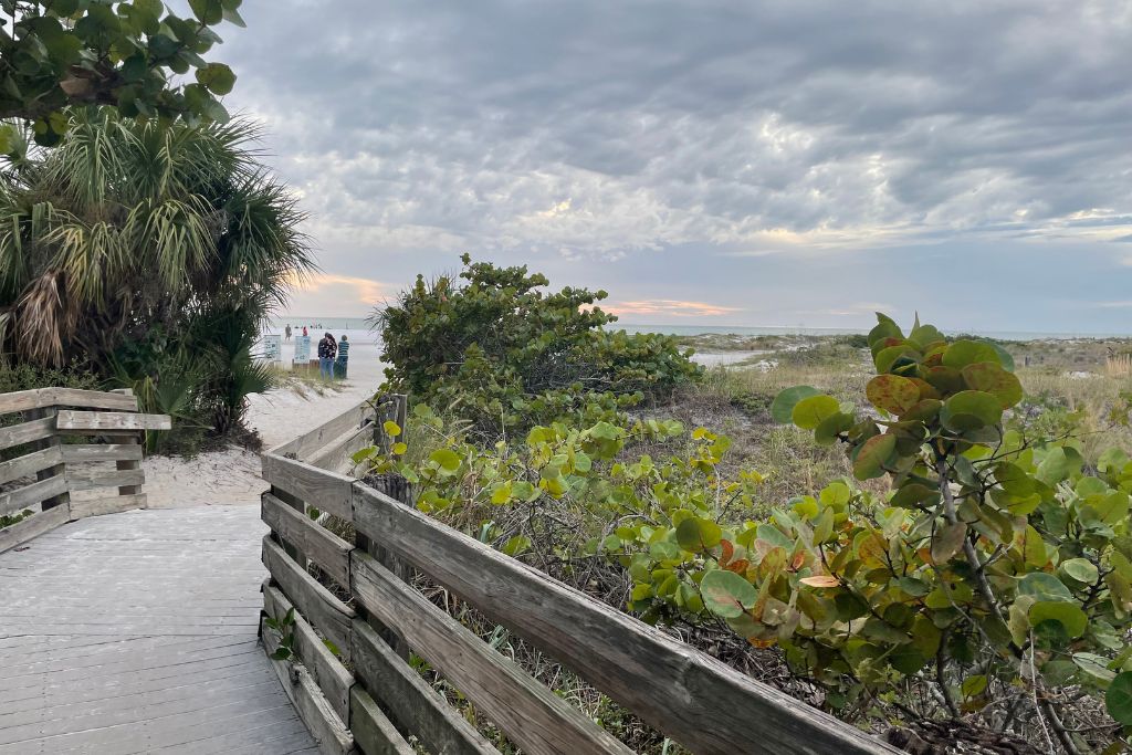 Lido Beach Walking the trail to the beach at Lido Beach in Sarasota