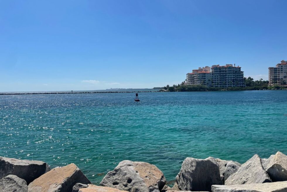 Planning A Florida Trip In August? Here's What to Expect - ALWAYS ON ...