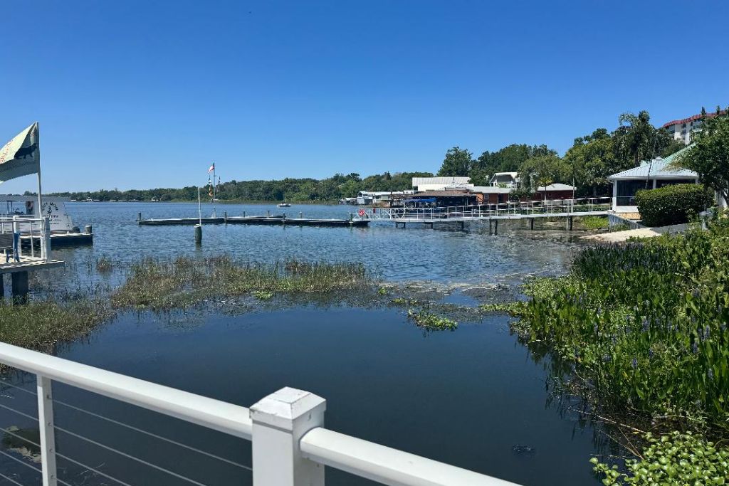 Mount Dora Views of the lake from the boardwalk in Mount Dora