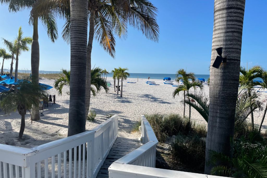 St Pete Scenic view of a white sand beach on Florida's Gulf Coast, seen from a wooden boardwalk surrounded by palm trees. Blue umbrellas and lounge chairs are set up along the shoreline under a clear blue sky