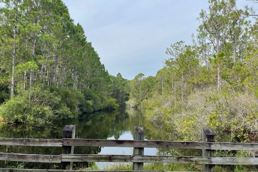 Topsail Hill Preserve State Park A peaceful forested scene in Florida with a wooden fence in the foreground overlooking a calm, reflective river or canal surrounded by tall pine trees and lush greenery under a cloudy sky.