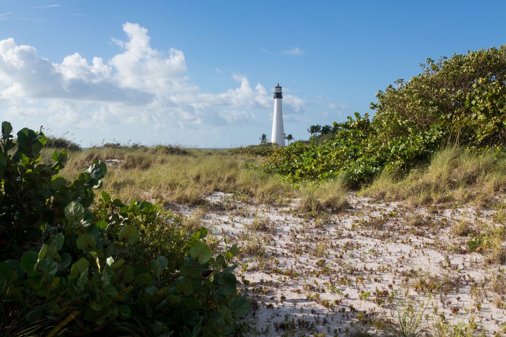 Scenic view of the Cape Florida Lighthouse at Bill Baggs Cape Florida State Park, surrounded by sea grape bushes and sand dunes under a partly cloudy sky.