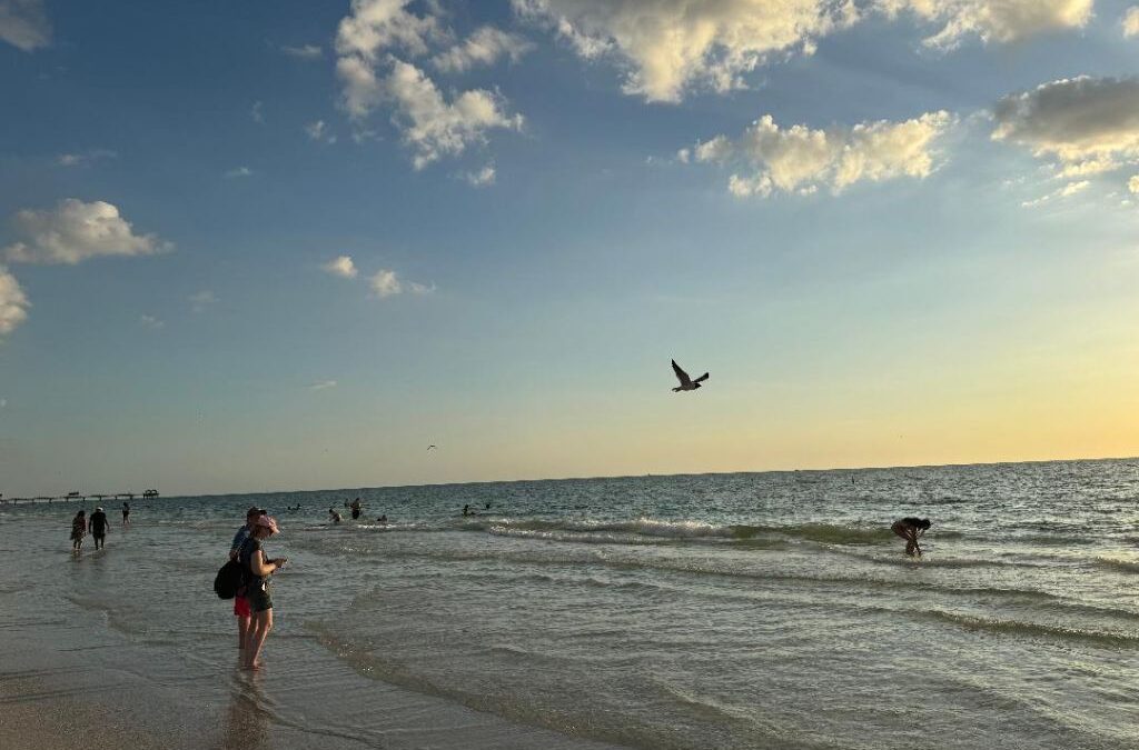 People wading in the shallow waters of Clearwater Beach at sunset, with a seagull flying overhead, soft waves, and a golden sky in the background.