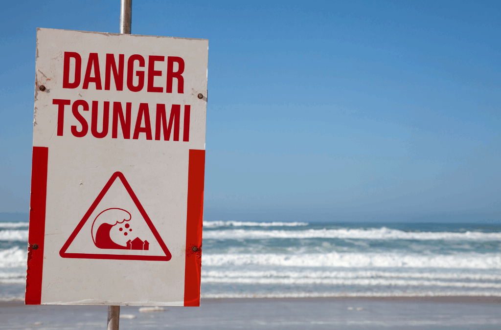 A "Danger Tsunami" warning sign posted on a beach with waves crashing in the background under a clear blue sky.