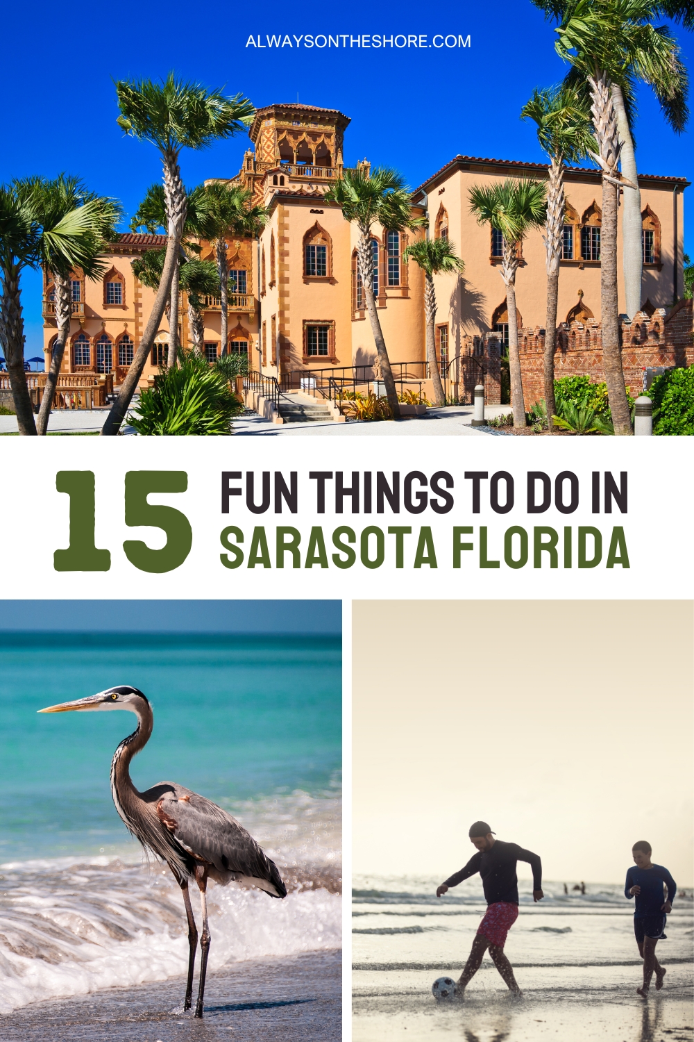 fun things to do in Sarasota Florida USA