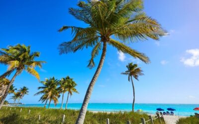9 Amazing Beaches In Florida For Spring Break