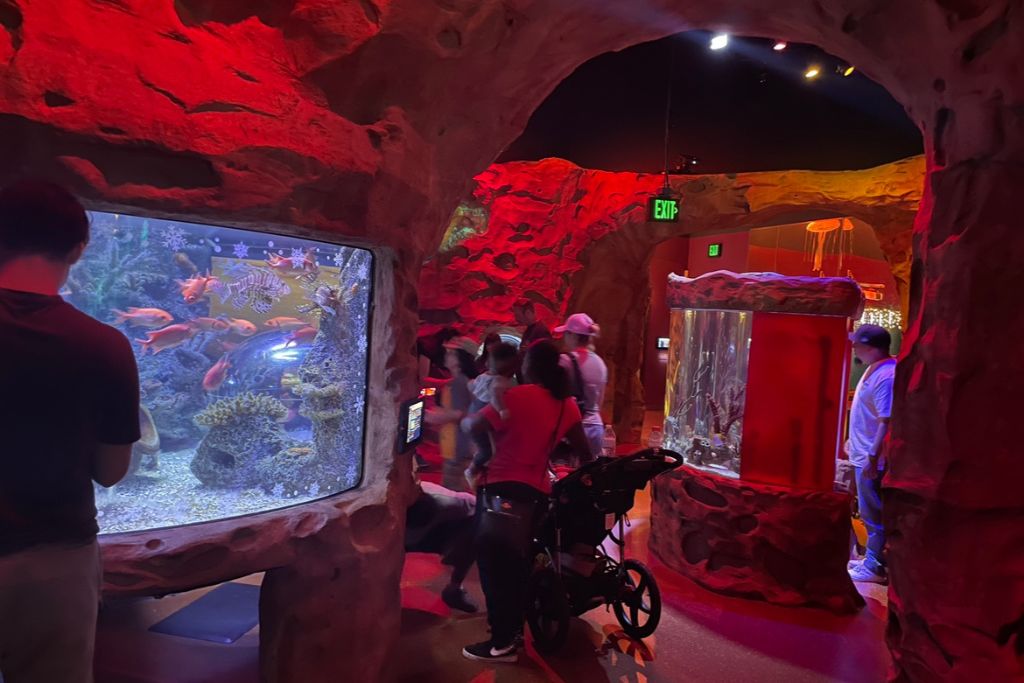 marine life exhibits in Sea Life Orlando