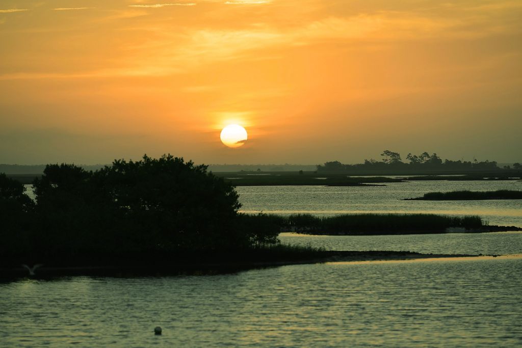 Sunset over the peaceful lakes and wetlands of Leesburg, Florida, with golden skies reflecting across the water and silhouetted trees along the shoreline.