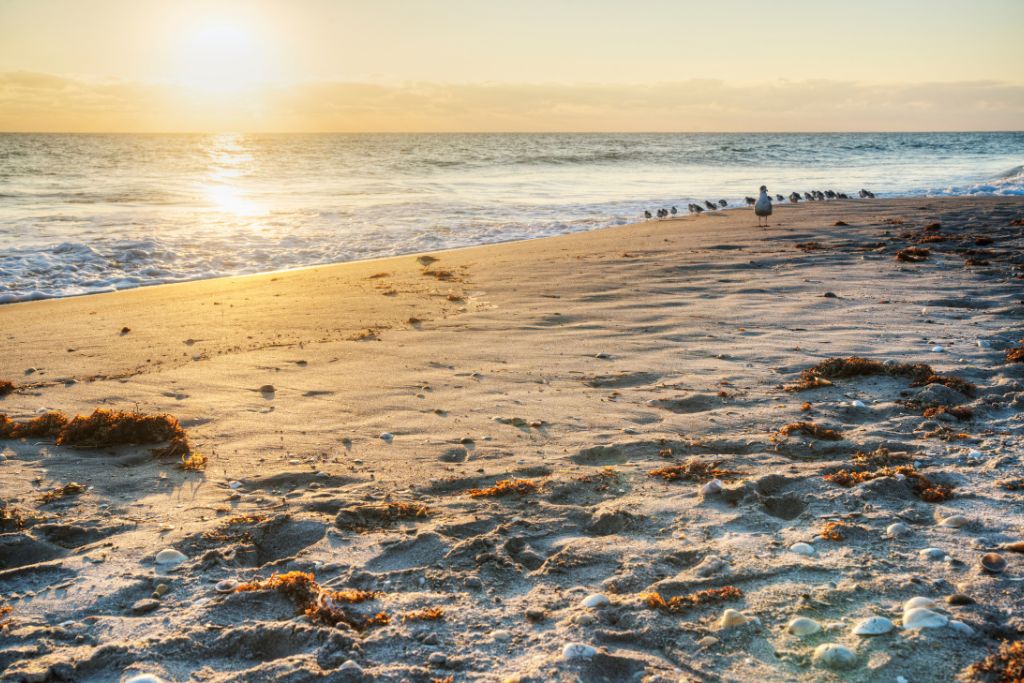Sunrise at Satellite Beach Florida
