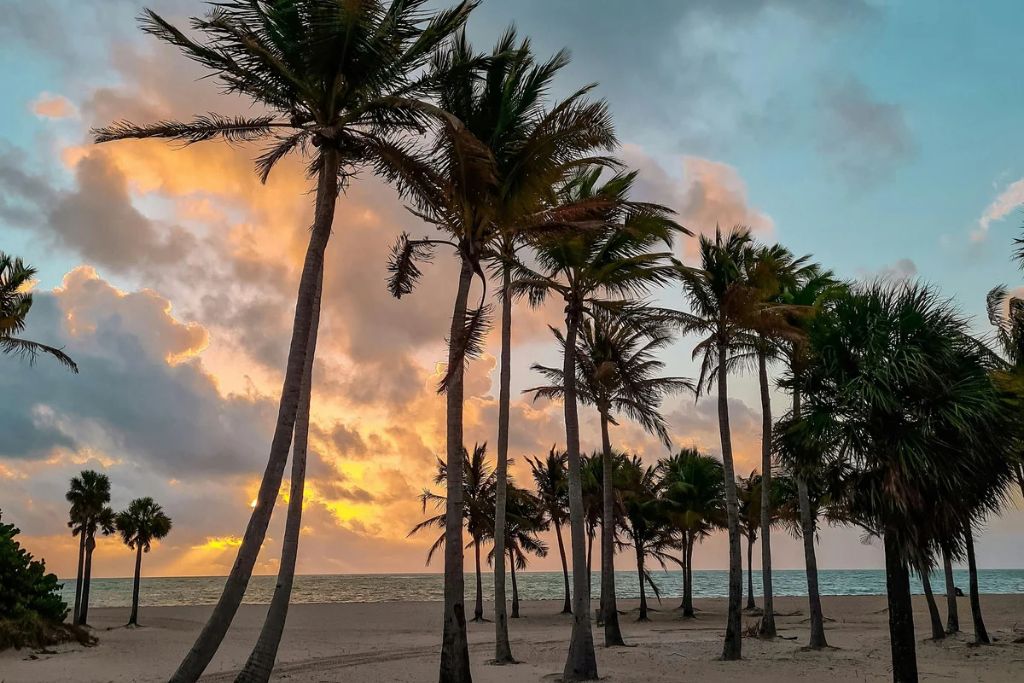 Miami Beach during sunset